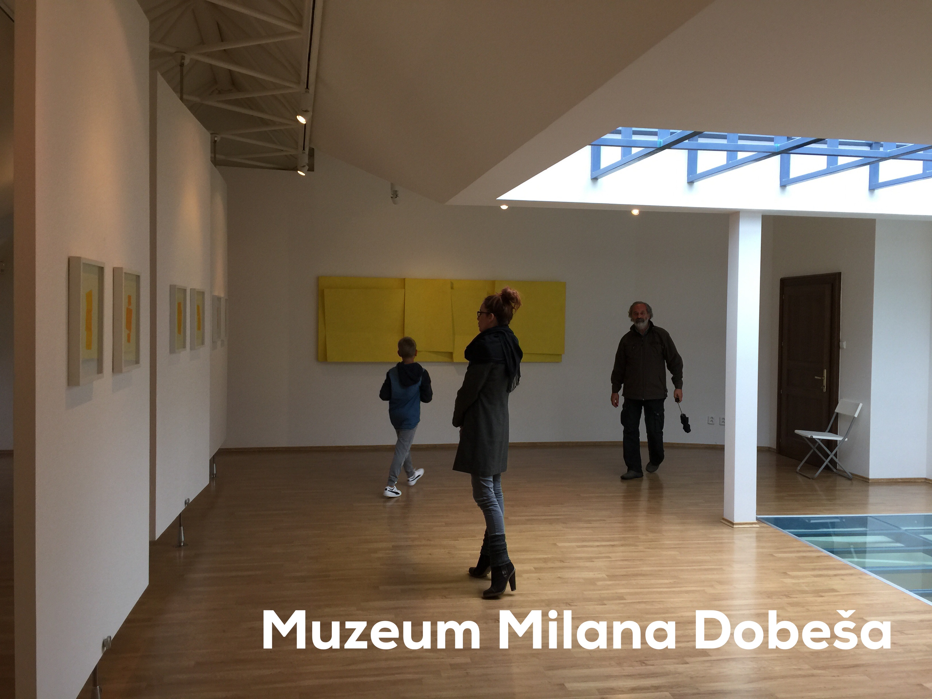 Muzeum Milana Dobesa